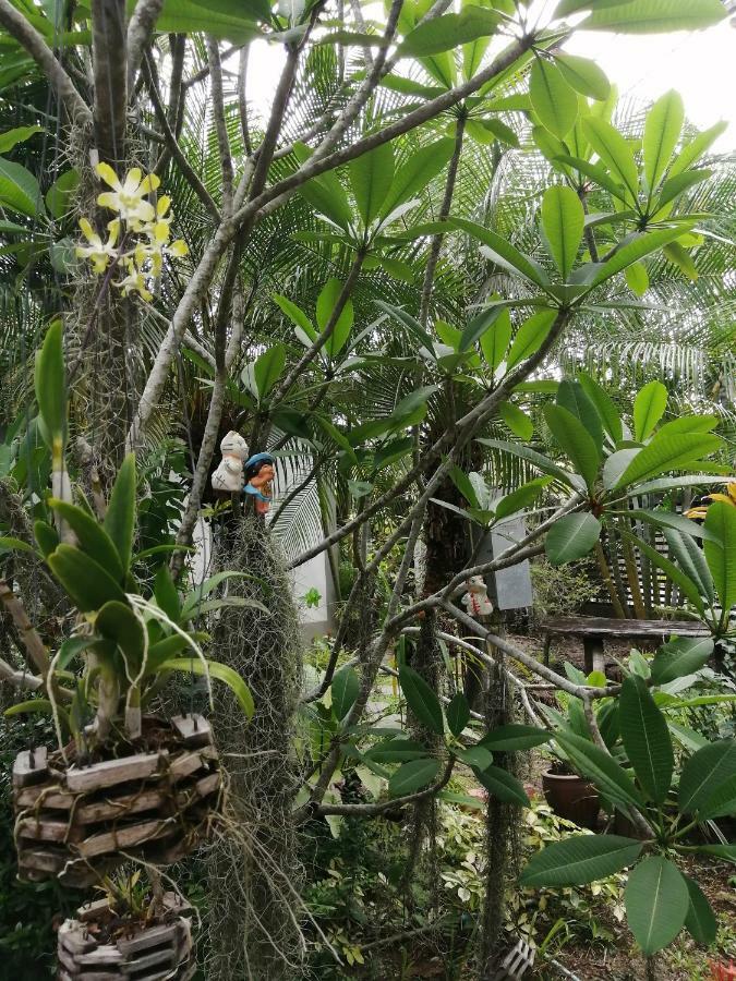 Naiyang Boutique Resort Ban Phak Chit Exteriér fotografie